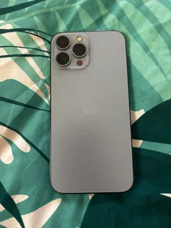 iPhone 13 Pro Max 256GB