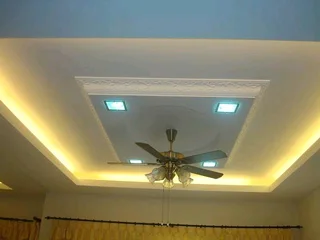 Capentry (ceilings/fitted cabinets, etc)