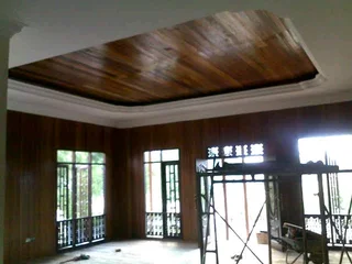 Capentry (ceilings/fitted cabinets, etc)