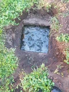 Honey sucker for hire