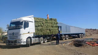 SA Feed Solutions - Suppliers of premium bales of animal feeds.