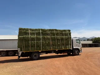SA Feed Solutions - Suppliers of premium bales of animal feeds.