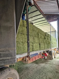 SA Feed Solutions - Suppliers of premium bales of animal feeds.