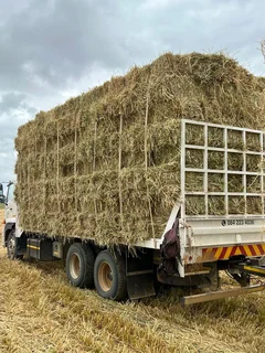 SA Feed Solutions - Suppliers of premium bales of animal feeds.