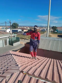 Wise builders construction