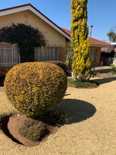 Single room in shared house