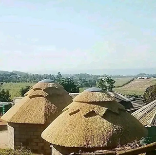 Thatch gazebos 0736009450