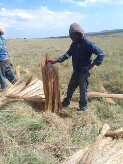 Thatch gazebos 0736009450