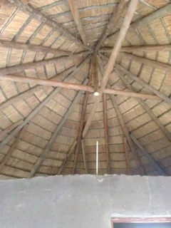 Thatch installation and repairs 0736009450