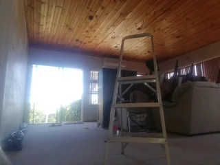 Painting is my everyday Job