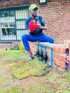 Bore pump installation and we&#39;ll point