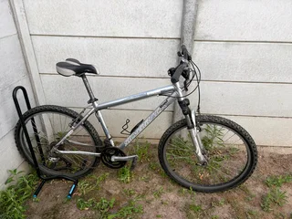 Silverback Mountain Bile