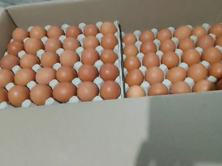 Box of Large Fresh Eggs