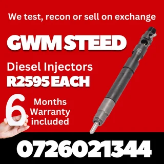 Gwm Steed 2l Diesel Injectors For Sale