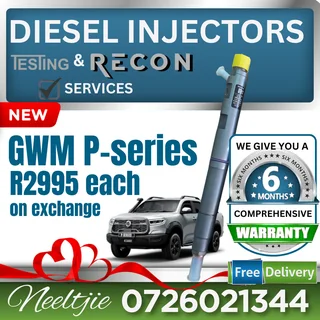 NEW GWM P-series diesel injectors for sale