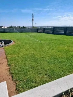 Roll on lawn national grass