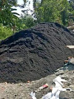 Roll on lawn national grass