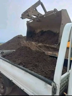 Roll on lawn national grass