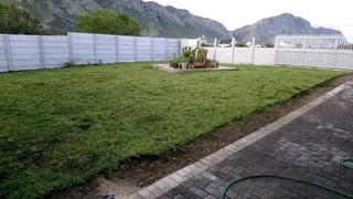 Roll on lawn national grass