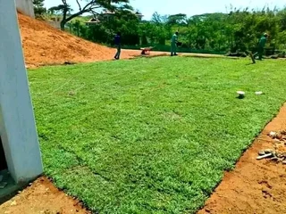 Delivery and installation off the new grass grass