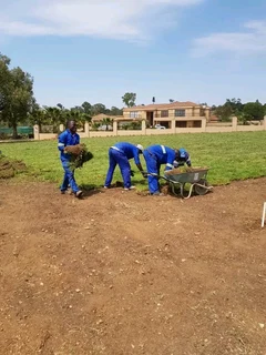 Delivery and installation off the new grass grass