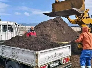 Roll on lawn buffalo grass and Kikuyu grass