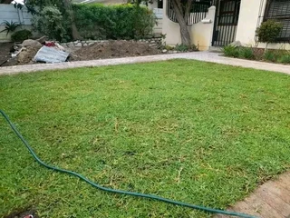 Roll on lawn buffalo grass and Kikuyu grass