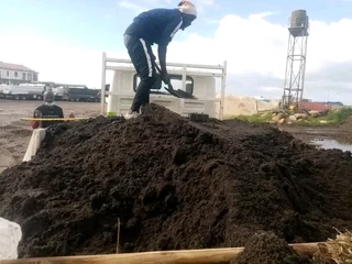 Roll on lawn buffalo grass and Kikuyu grass