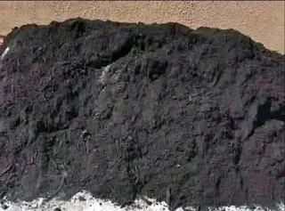 Supply and installation roll on lawn Lm Berea grass