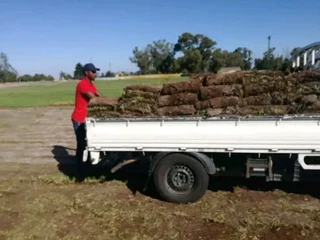 Supply and installation roll on lawn Lm Berea grass