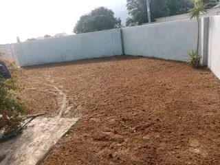 Supply and installation roll on lawn Lm Berea grass