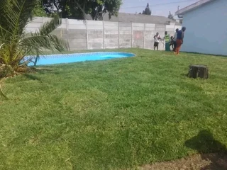 Supply and installation roll on lawn Lm Berea grass