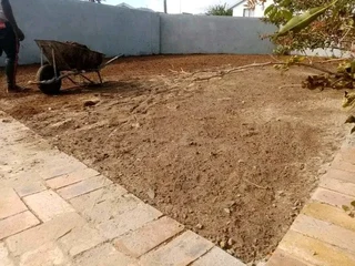 Supply and installation roll on lawn Lm Berea grass