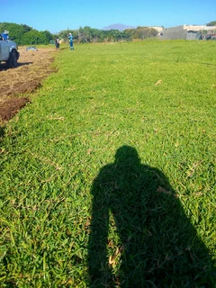 Delivery and installation grass