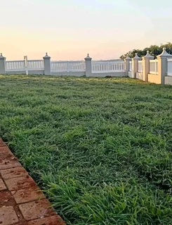 Delivery and installation grass