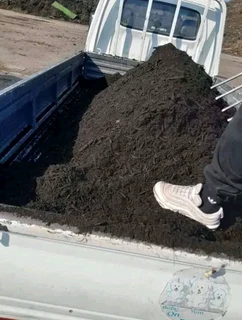 Delivery and installation grass