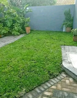 Delivery and installation grass
