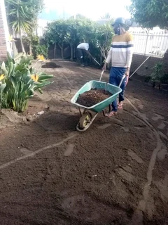 Delivery and installation grass