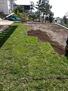 Delivery and installation grass