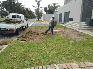 Delivery and installation Kikuyu grass fresh grass