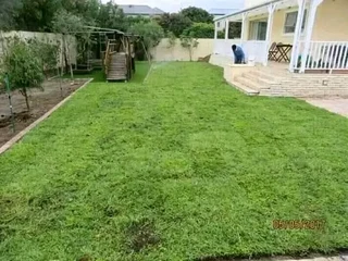 Delivery and installation Kikuyu grass fresh grass