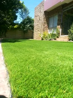 Roll on lawn buffalo grass