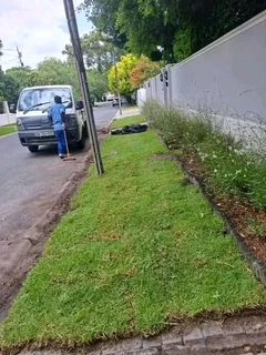 Roll on lawn buffalo grass