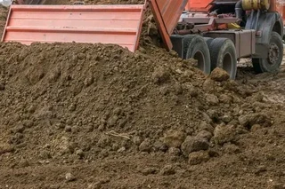 Roll on lawn buffalo grass