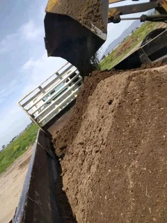 Roll on lawn buffalo grass