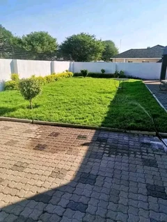 Roll on lawn buffalo grass