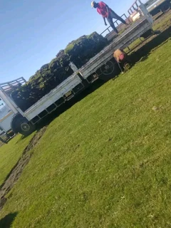 Roll on lawn buffalo grass