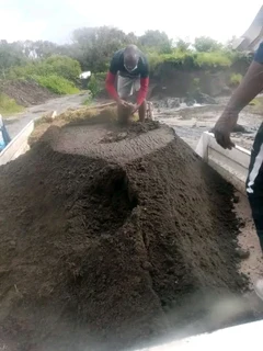 Roll on lawn  Kikuyu grass