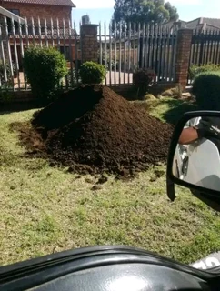 Roll on lawn  Kikuyu grass