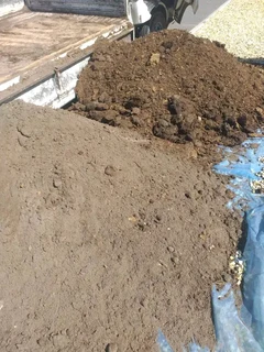 Roll on lawn  Kikuyu grass